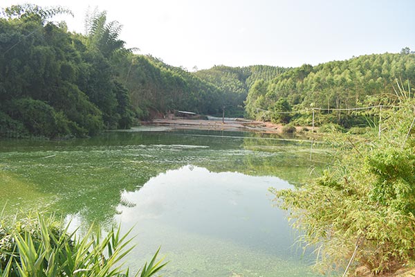 养殖基地